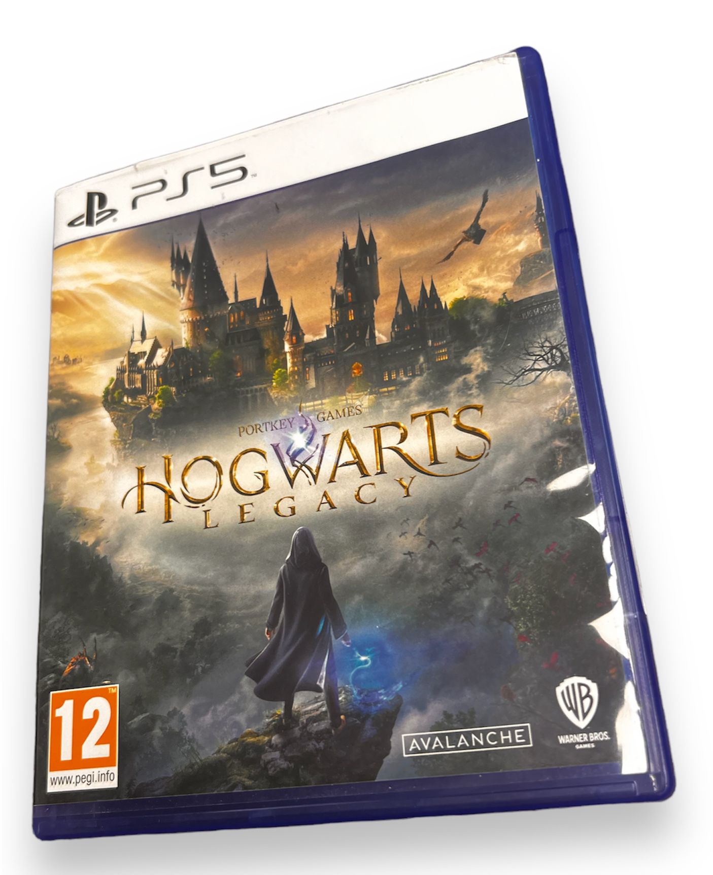 Hogwarts Legacy (ps5 issue)