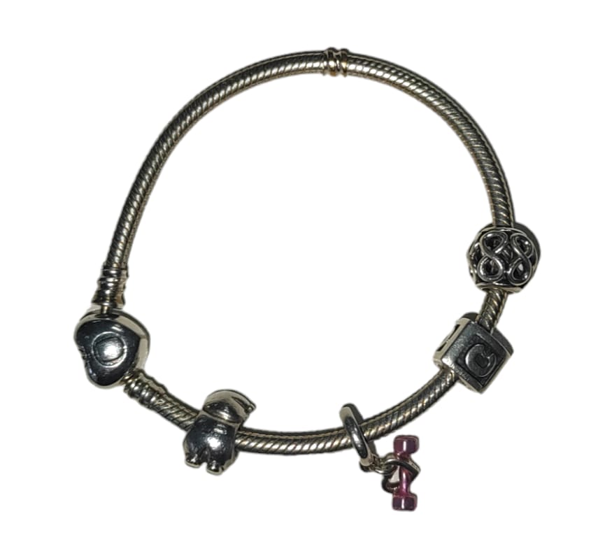 Pandora Bracelet 4 Charms